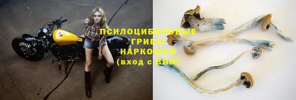 ALPHA-PVP Корсаков